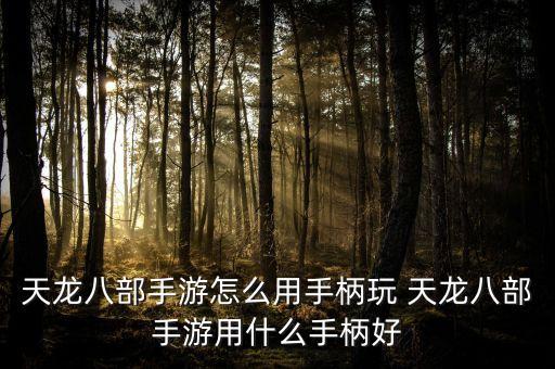 天龙八部手游怎么用手柄玩 天龙八部手游用什么手柄好