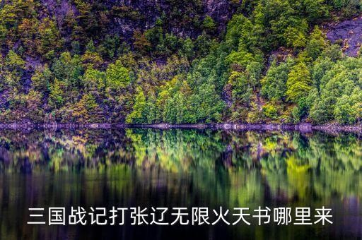 三国战记打张辽无限火天书哪里来