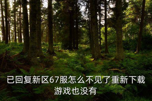 已回复新区67服怎么不见了重新下载游戏也没有