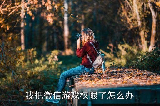 我把微信游戏权限了怎么办