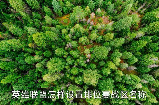 英雄联盟怎样设置排位赛战区名称