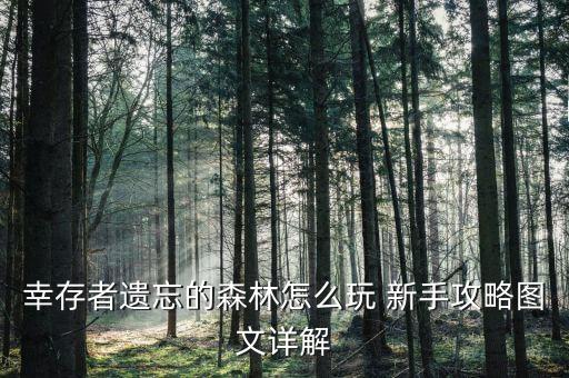 幸存者遗忘的森林怎么玩 新手攻略图文详解