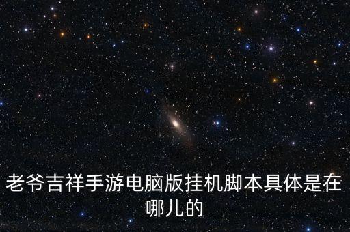 老爷吉祥手游电脑版挂机脚本具体是在哪儿的
