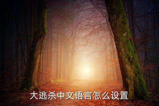 大逃杀中文语言怎么设置