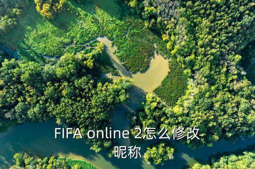 FIFA online 2怎么修改昵称