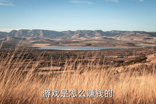 游戏是怎么赚钱的