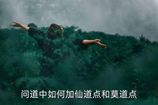 问道中如何加仙道点和莫道点