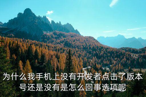 手游版本号怎么不发了，为什么手机版本号打不开
