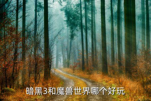 暗黑3和魔兽世界哪个好玩