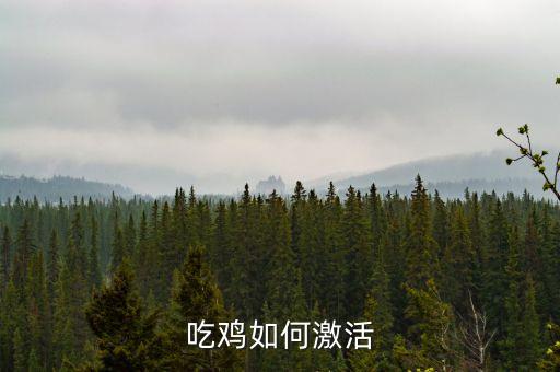 吃鸡手游怎么解锁国际服，怎么玩外服吃鸡