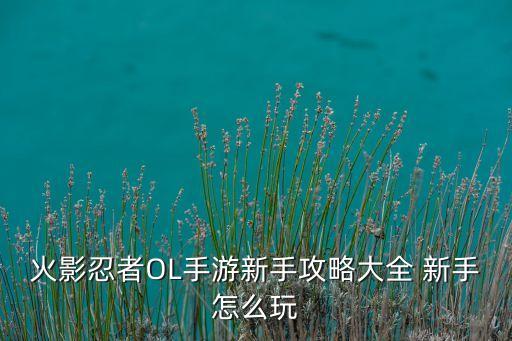 火影忍者OL手游新手攻略大全 新手怎么玩