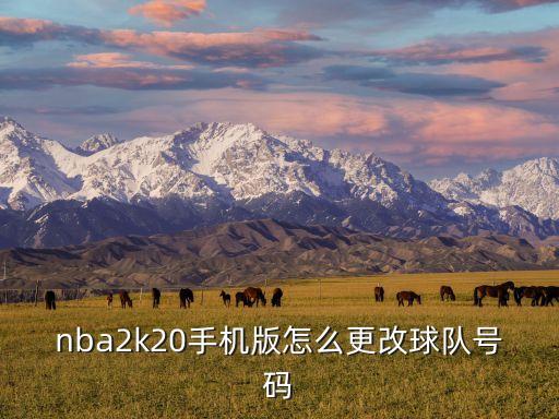 nba2k20手机版怎么更改球队号码