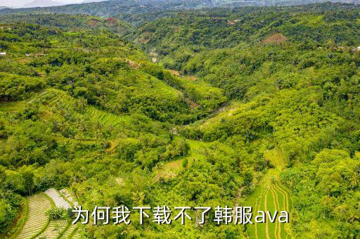 为何我下载不了韩服ava