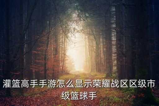 灌篮高手手游怎么拿市标，灌篮高手手游怎么显示荣耀战区区级市级篮球手