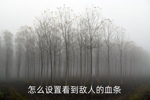 怎么设置看到敌人的血条