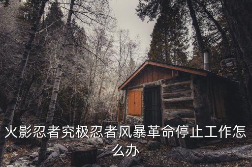 火影忍者究极忍者风暴革命停止工作怎么办