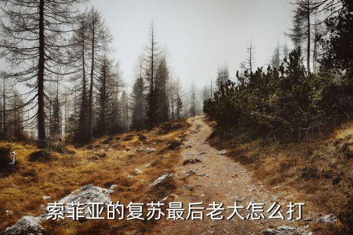 索菲亚的复苏最后老大怎么打