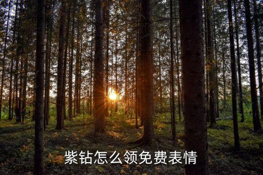 紫钻怎么领免费表情