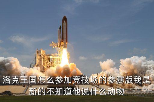 洛克王国怎么参加竞技场的参赛版我是新的不知道他说什么动物