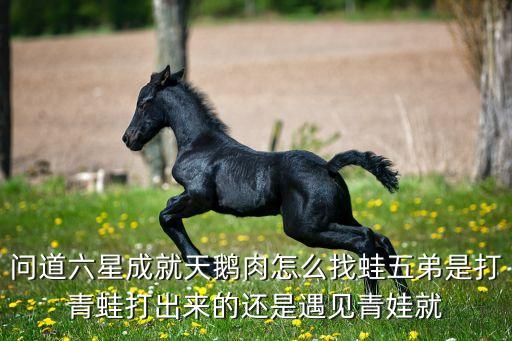 问道六星成就天鹅肉怎么找蛙五弟是打青蛙打出来的还是遇见青娃就