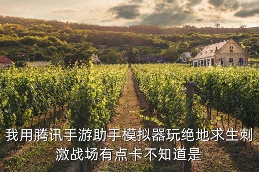 我用腾讯手游助手模拟器玩绝地求生刺激战场有点卡不知道是