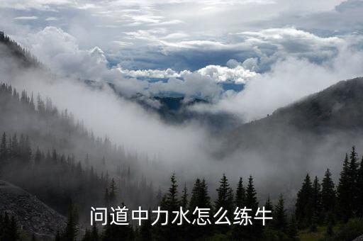问道中力水怎么练牛