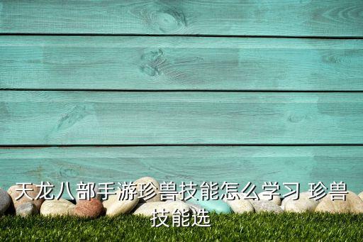 天龙八部手游珍兽技能怎么学习 珍兽技能选
