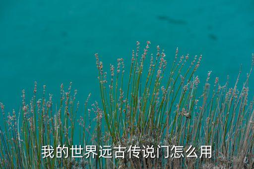 我的世界远古传说门怎么用