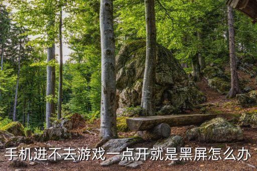 手机进不去游戏一点开就是黑屏怎么办