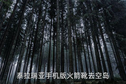 泰拉瑞亚手机版火箭靴去空岛