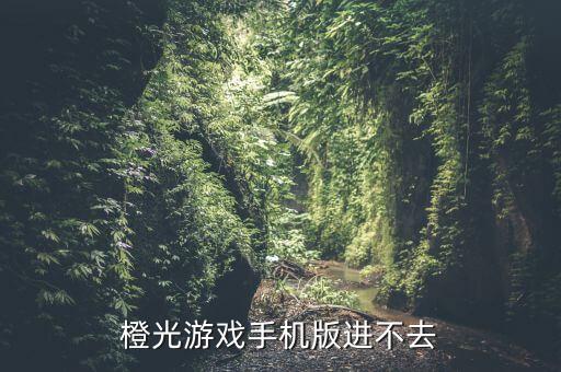 橙光游戏手机版进不去