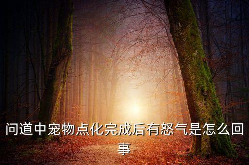 问道中宠物点化完成后有怒气是怎么回事