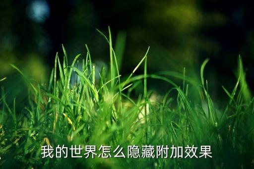我的世界怎么隐藏附加效果