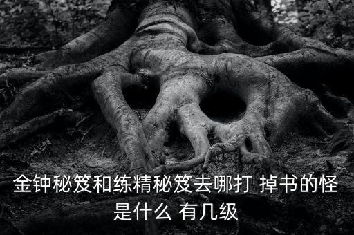 金钟秘笈和练精秘笈去哪打 掉书的怪是什么 有几级