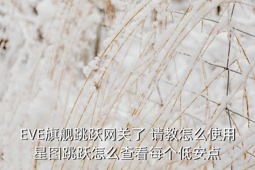 EVE旗舰跳跃网关了 请教怎么使用星图跳跃怎么查看每个低安点