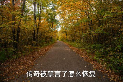 传奇被禁言了怎么恢复