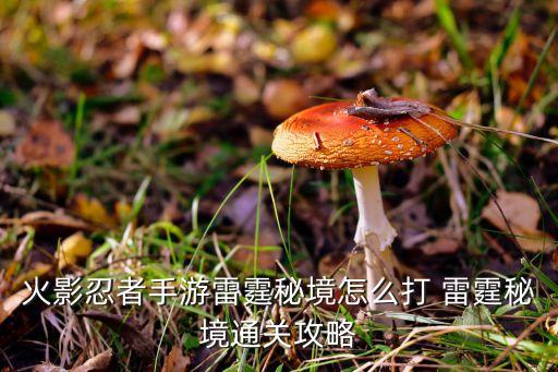 火影忍者手游雷霆秘境怎么打 雷霆秘境通关攻略