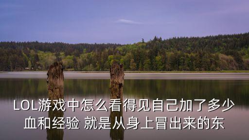LOL游戏中怎么看得见自己加了多少血和经验 就是从身上冒出来的东
