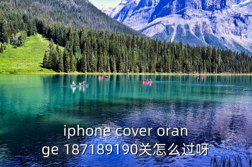 iphone cover orange 187189190关怎么过呀