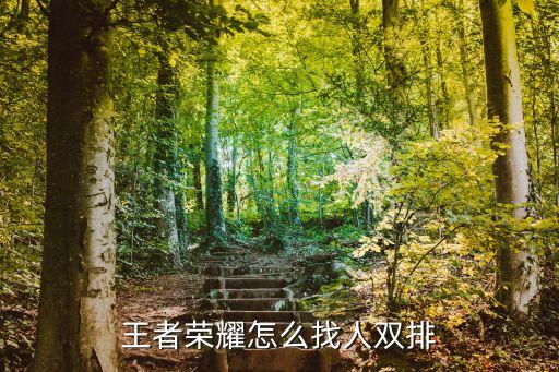 王者荣耀怎么找人双排