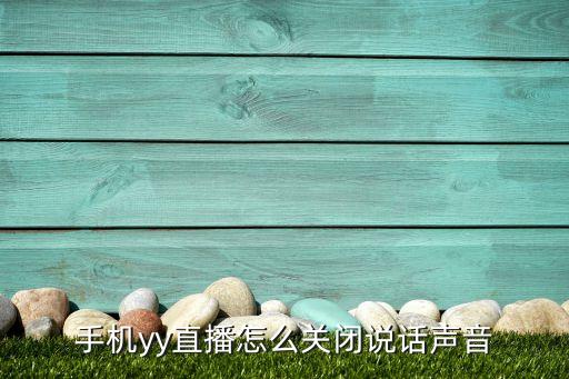 手机yy直播怎么关闭说话声音