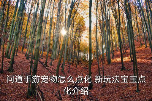 问道手游宠物怎么点化 新玩法宝宝点化介绍