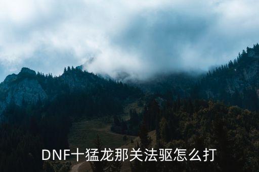 dnf韩服手游十猛龙怎么打，DNF 死亡峡谷 迷芒之塔 BOSS 十猛龙 怎么打败他