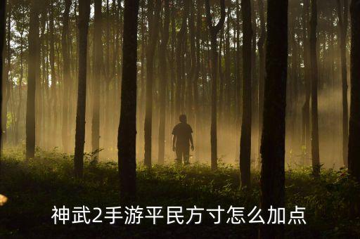 神武2手游平民方寸怎么加点