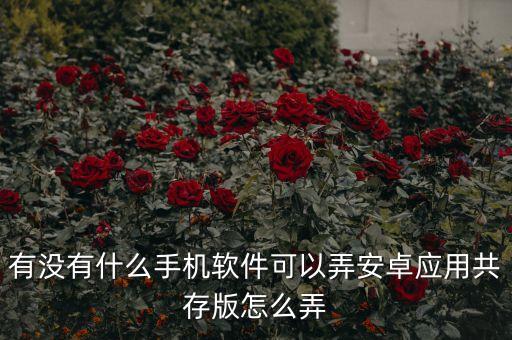 有没有什么手机软件可以弄安卓应用共存版怎么弄