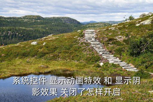 系统控件 显示动画特效 和 显示阴影效果 关闭了怎样开启