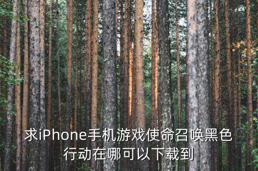 求iPhone手机游戏使命召唤黑色行动在哪可以下载到