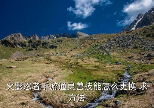 火影忍者手游通灵兽技能怎么更换 求方法