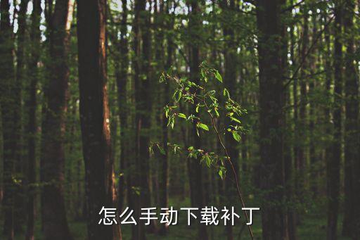 怎么手动下载补丁