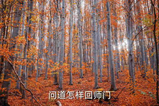 问道怎样回师门